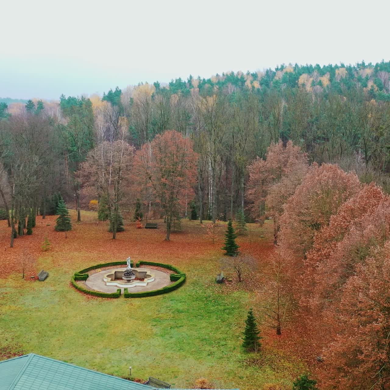 Aerial shot of forest landscape
