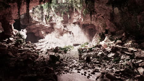 trail in a hawaiian rain forest leading to big cave