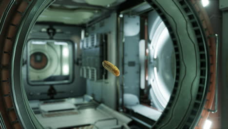 marinated-pickled-cucumber-floating-in-internation-space-station