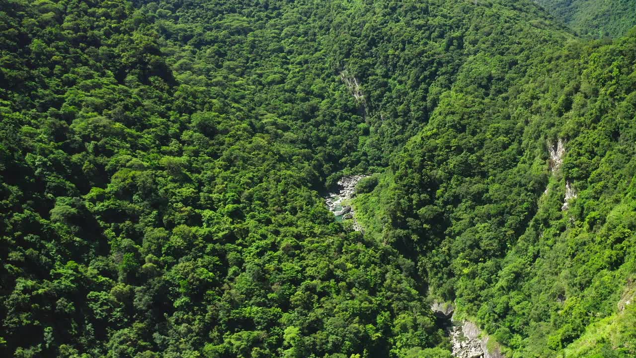 vuelo cinematográfico de aviones no tripulados sobre un paisaje de bosque exuberante con un río natural que fluye entre las colinas en el parque nacional de taroko durante el verano, taiwán