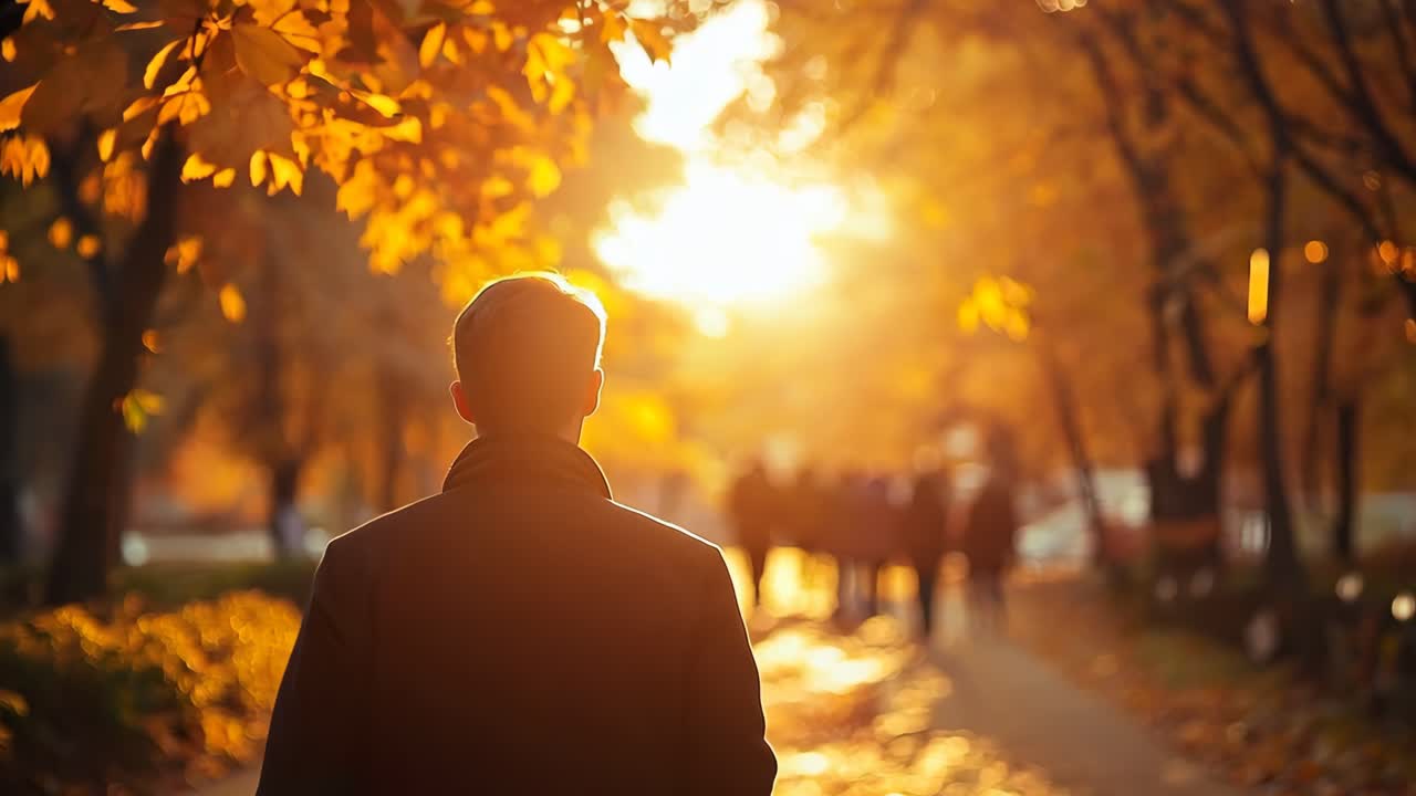 공원 한가운데 서서 태양 을 바라보는 사람