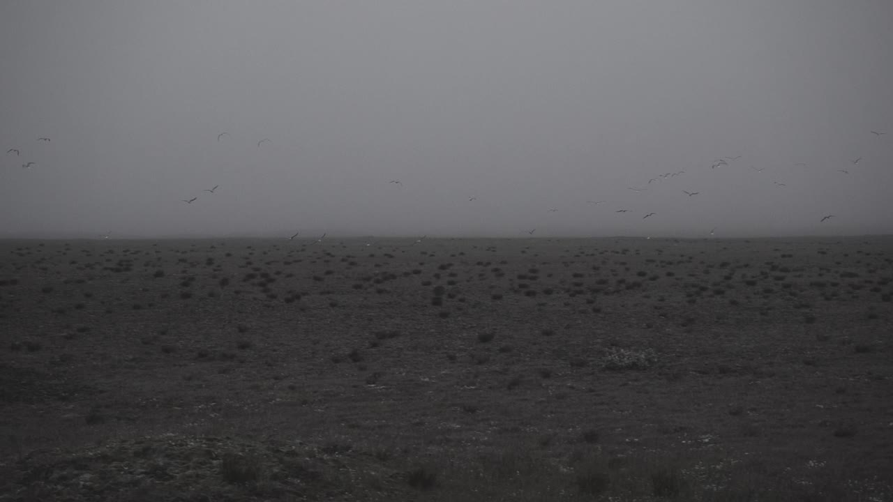 Silhouette in abandoned icelandic canyon in a foggy, moody, dramatic landscape