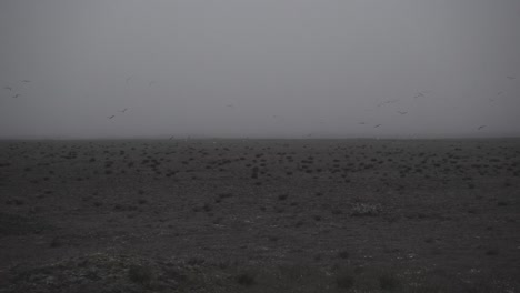 Silhouette-in-abandoned-icelandic-canyon-in-a-foggy,-moody,-dramatic-landscape