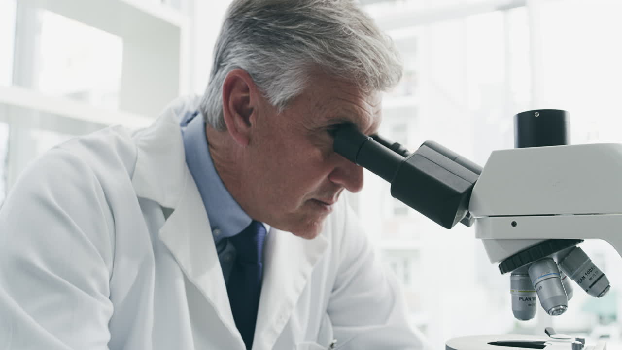 실험실에서 일하는 과학자