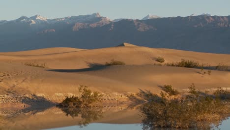 una cacerola a través de las dunas del desierto en un oasis