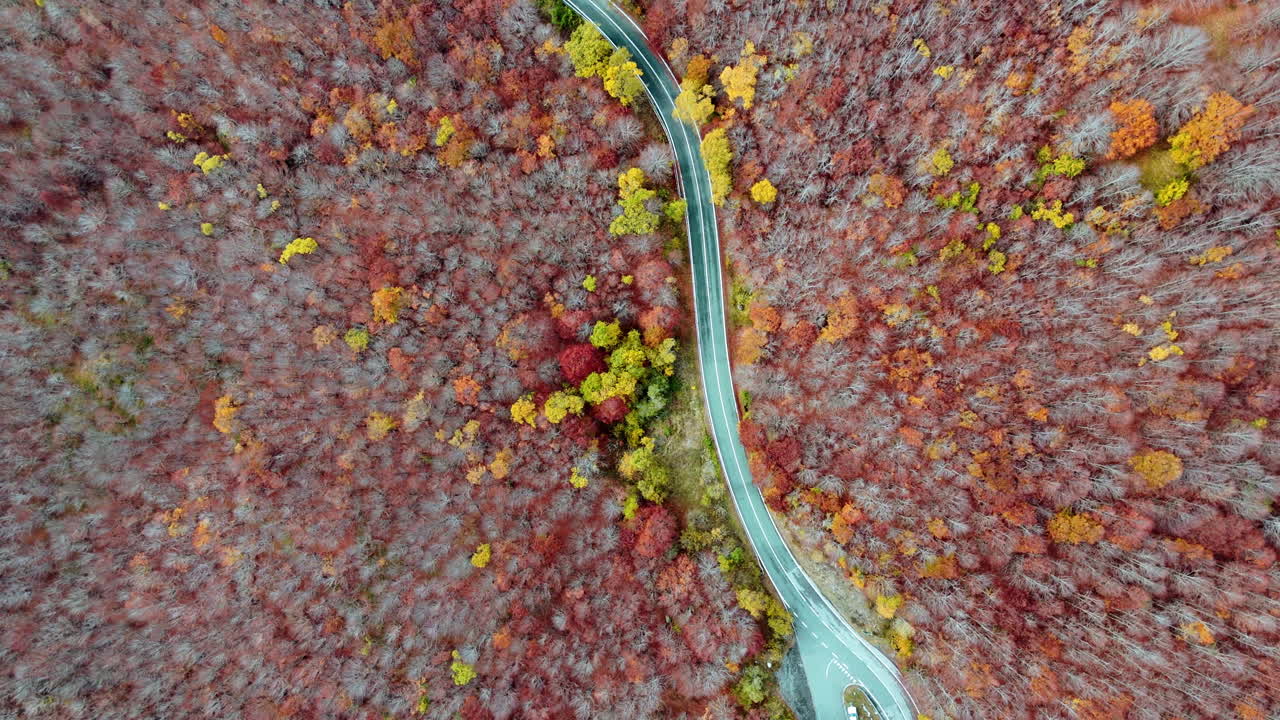 Aerial view of colorful autumn forest with winding road below
