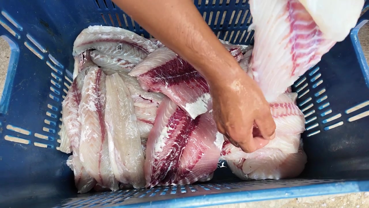 raw seafood processing in a local market environment. emphasizes texture, color contrast between white flesh and red muscle lines, and the manual handling of fresh fish.