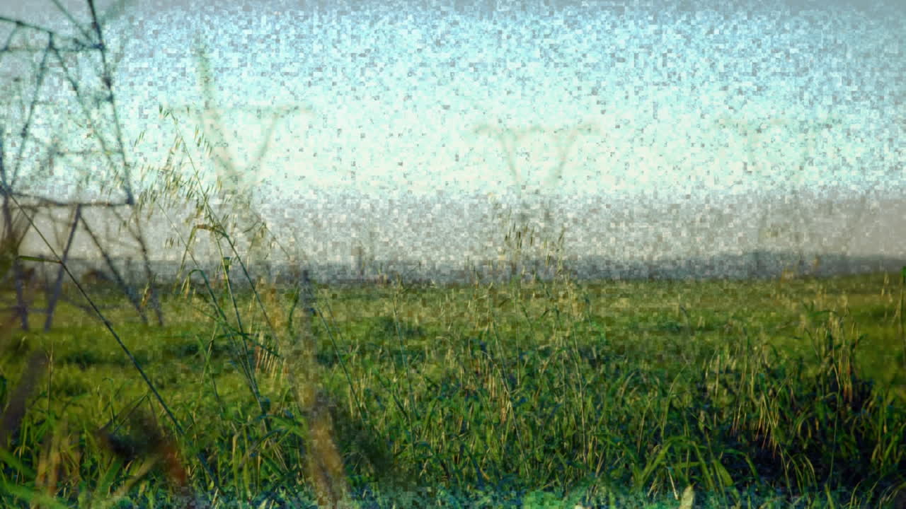 도로 교통과 전기 기둥