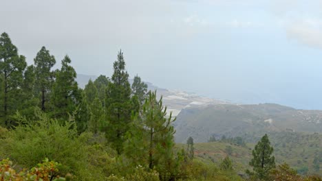 Teneriffa-Wunderschöne-Naturlandschaft-An-Einem-Bewölkten-Tag,-Pinien,-Pfanne