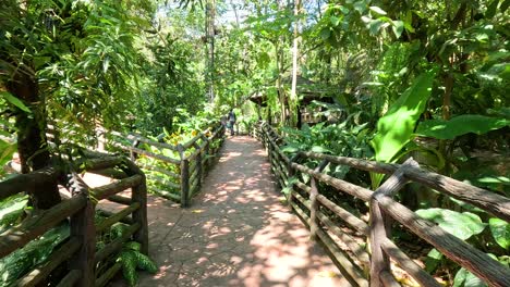 visitors explore lush pathways in the zoo