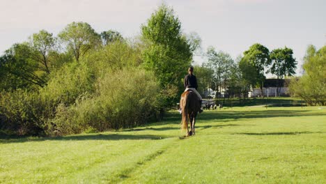 woman horseback riding in a green field