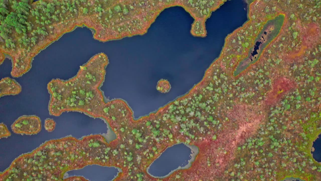 Exploring the serene beauty of Kemeri swamp in Latvia from above