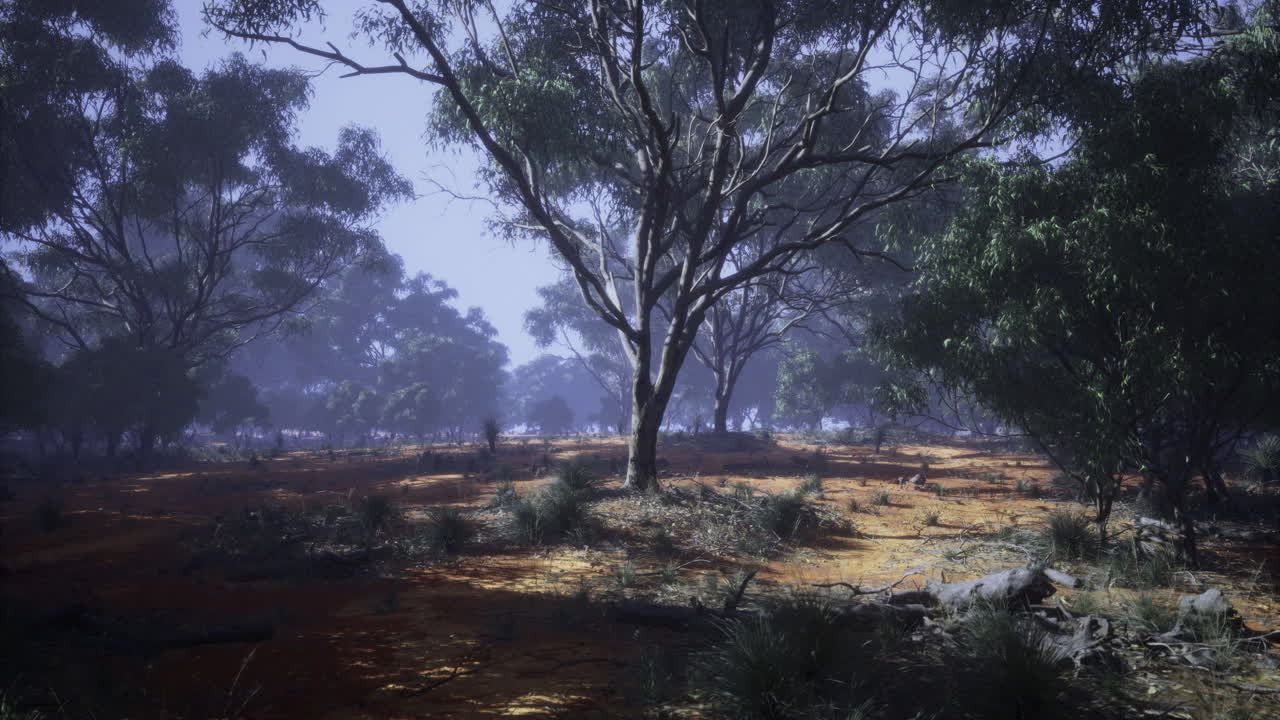 부드러운 아침 빛 아래 울창한 숲의 경치 좋은 풍경