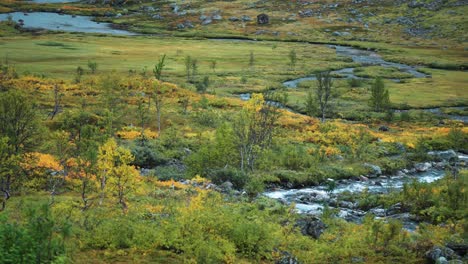 a shallow river meanders through the lush and colorful tundra wetlands