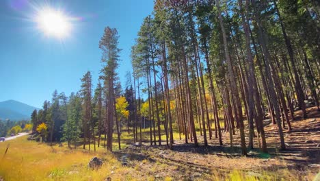 Driving-through-Rocky-Mountain-National-Park