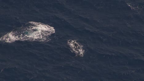 Una-Vaina-De-Ballena-Jorobada-Rompiendo-La-Superficie-Del-Océano-Índico-En-La-Reunión-De-Francia,-Aérea