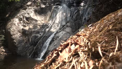 serene waterfall in lush forest
