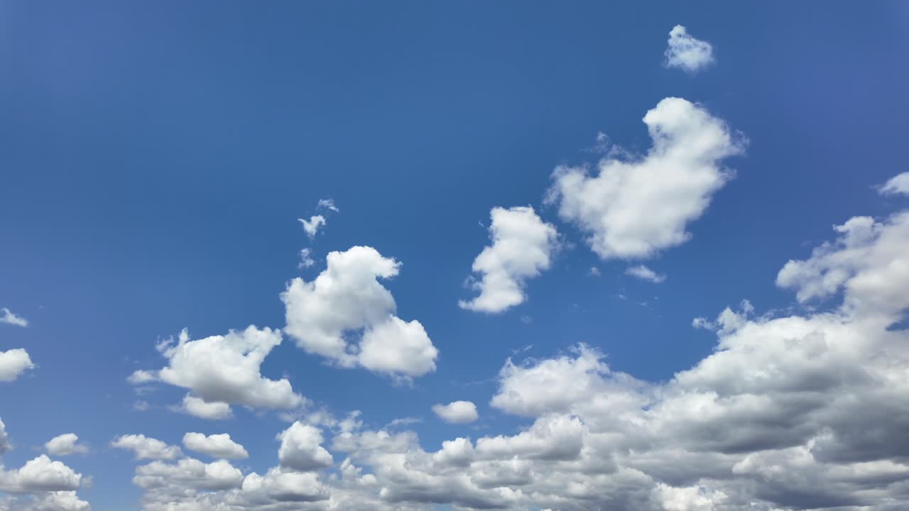 Time lapse of evolving cumulus clouds under an intense blue sky. Low angle view 4K
