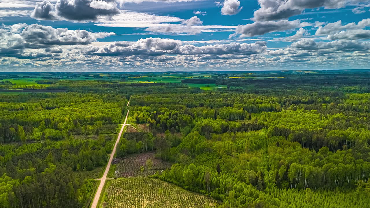 Moving drone hyperlapse over lush green forest and remote dirt road under scattered clouds