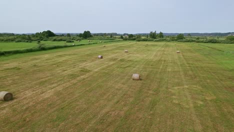 Flying-over-hay-bales-in-Polish-nature-reserve-"Beka