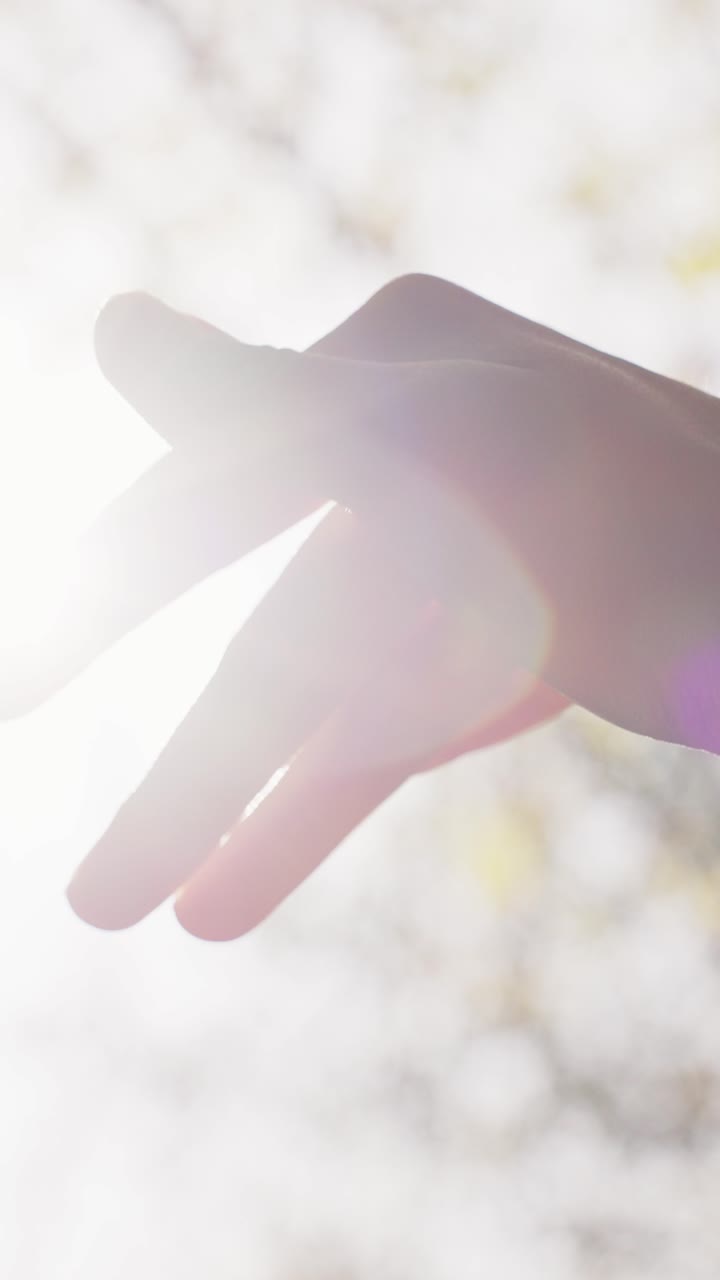 A Serene Moment of Connection Between Hands in a Soft Glowing Light, Symbolizing Love, Unity, and Emotional Bonds Amidst a Peaceful Natural Setting