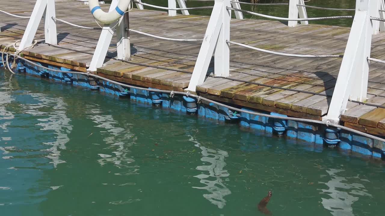 Close up shot of the Shiziguan Floating Bridge in Hubei, showing modular HDPE pontoon floats and wooden deck structure on calm river water