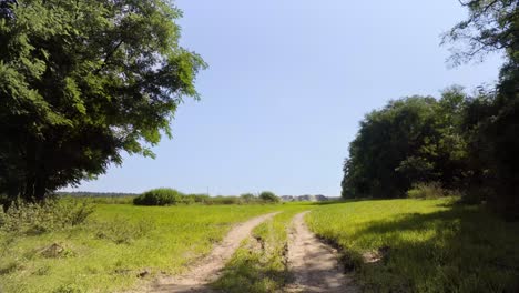 green meadow grassland with dirt road during warm sunny summer day in 4k