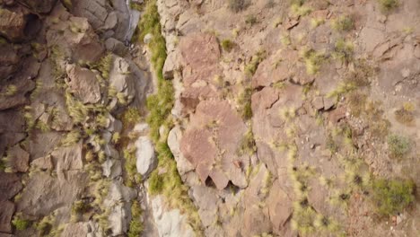 lecho seco del río arco de tajao. escasez de agua