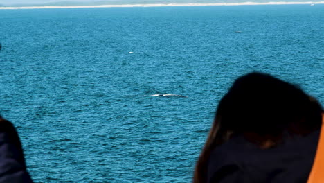 dos damas viendo ballenas en el tiro de hermanus