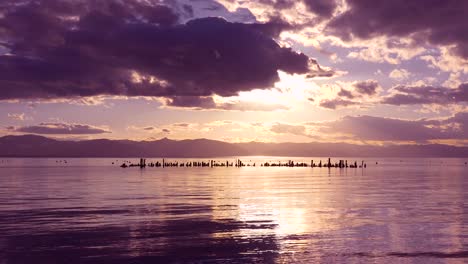 a beautiful sunset behind abandoned pier pilings at glenbrook lake tahoe nevada 3