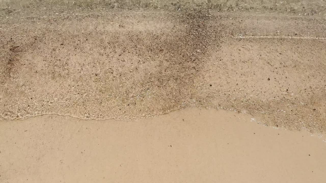 해변과 파도에서 은 날