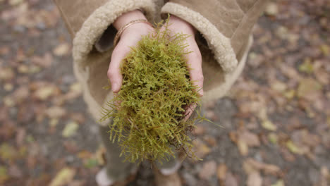 hands holding moss in woodland area