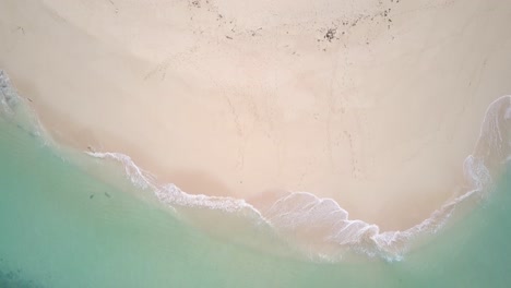 Aerial-tracking-shot-from-turquoise-waters-to-beautiful-beach-with-palm-trees-and-beach-umbrellas-on-Siargao,-the-Philippines