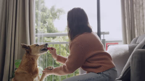 a woman teaching dog tricks and giving it treat