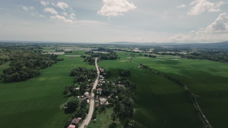 Birds-Eye-View-Over-Ricefields-in-Zamboanga-del-Sur