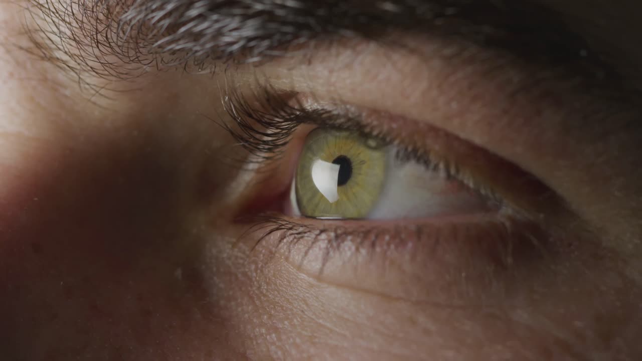 녹색 눈이  ⁇ 박이고