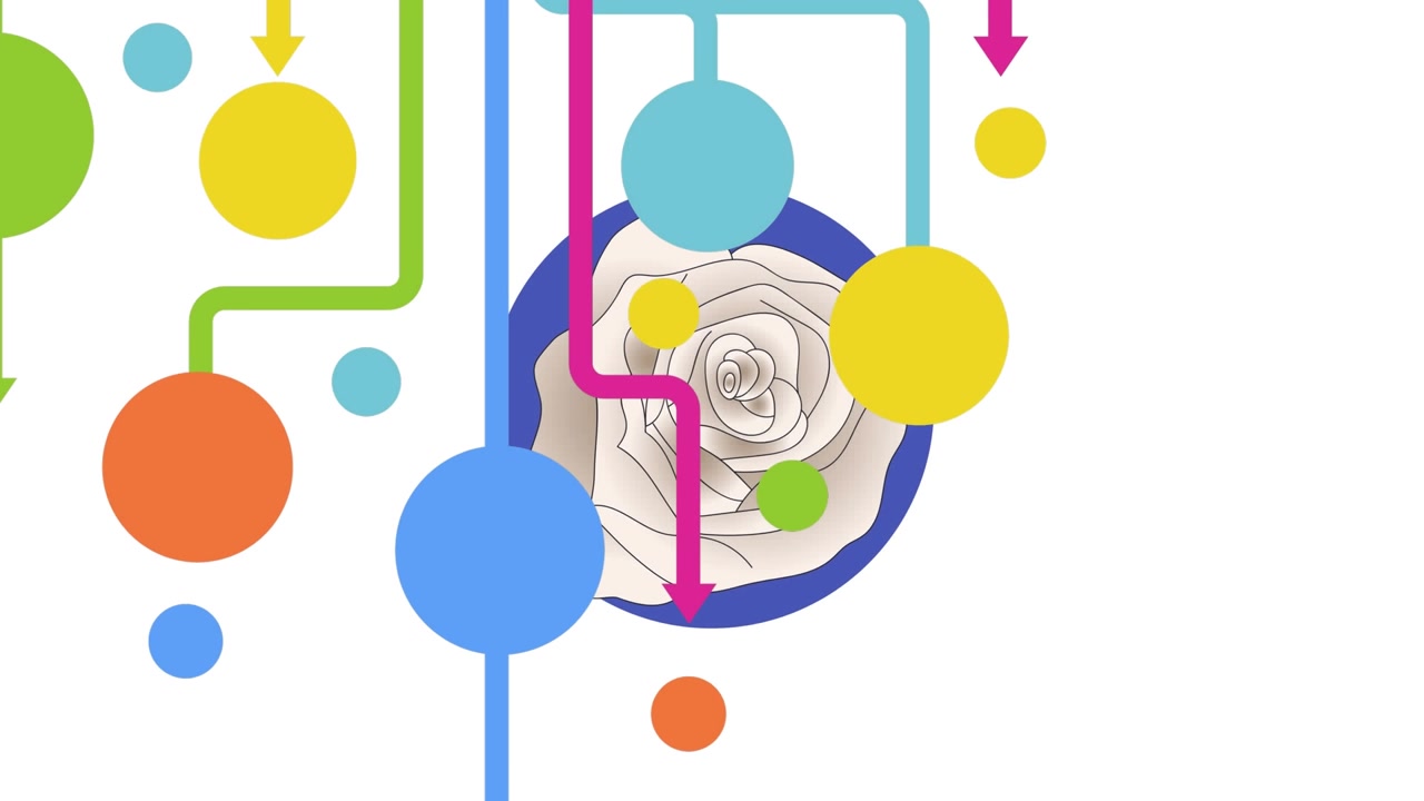 Abstract Flowchart Animation with Colorful Circles and Growing Rose