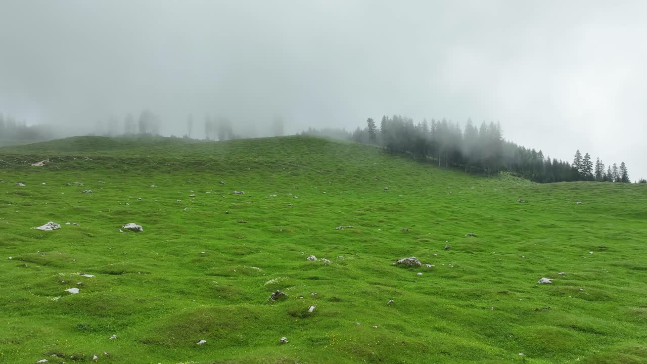 공중 드론은 폭풍우와 구름이 가득한 하늘과 함께 안개가 가득한 초원 위를 날아다니며 슬로베니아  ⁇ 가르트에서 느린 움직임으로 촬영되었습니다.