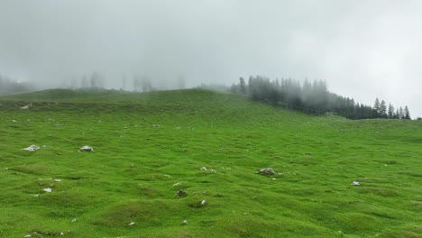 aerial drone fly above foggy green meadow with stormy cloudy sky slow motion shot in pungart slovenia