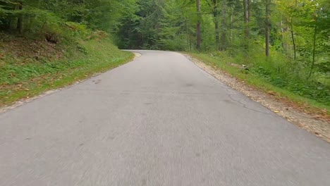 POV-driving-on-road-between-trees-in-a-forest