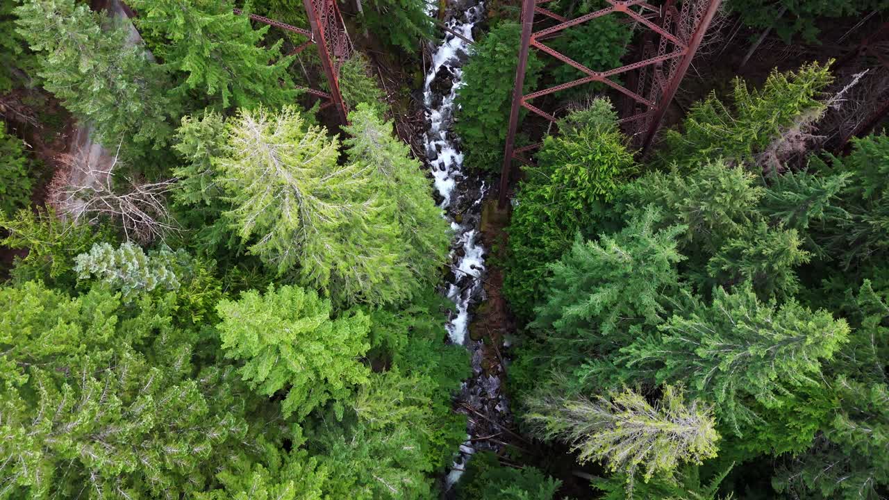 vista de pájaro del río que fluye por encima de las cimas de los árboles del bosque de hoja perenne y el puente en snoqualmie, estado de washington