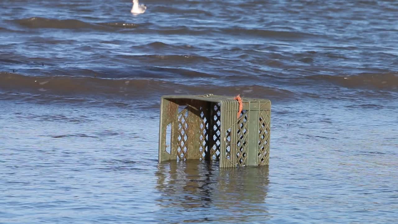 пластиковый ящик, выброшенный на берег