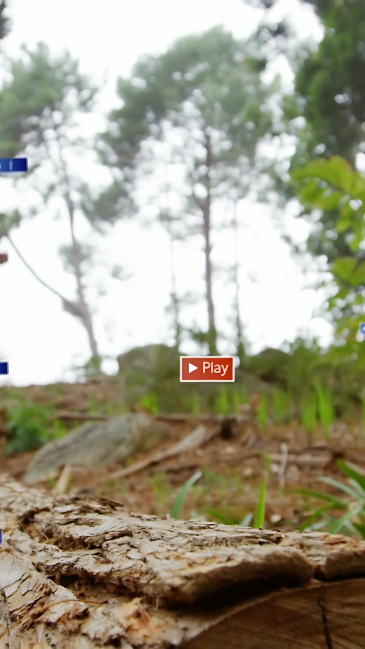 Vertical video: Female runner entering frame causing Play Like badges above stump for marketing
