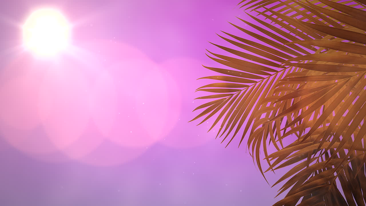 vista panorámica del paisaje tropical con palmeras y puesta de sol 9