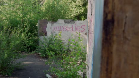 abandoned building with graffiti and overgrowth