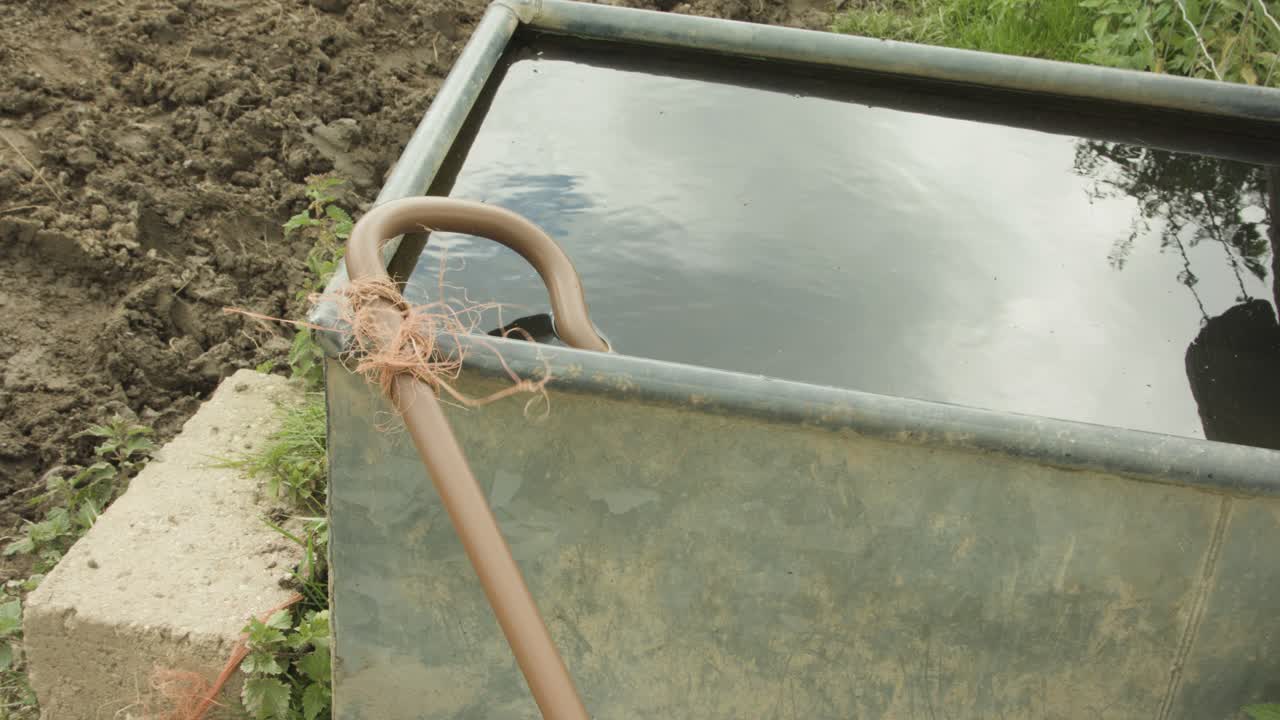 Shepherd's Staff Outside A Basin With Water In The Farm - dolly-in shot