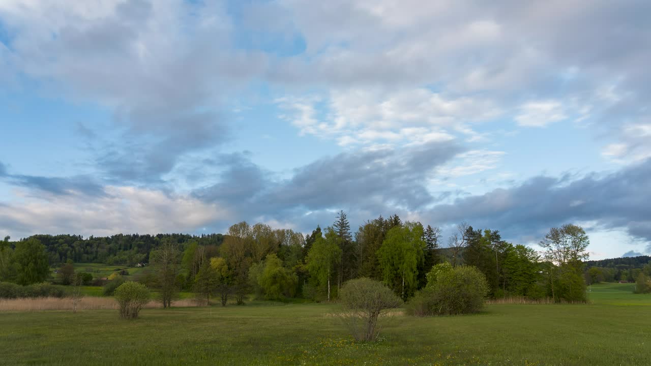Time-lapse in a nature reserve. Clouds drift across the blooming landscape in spring.