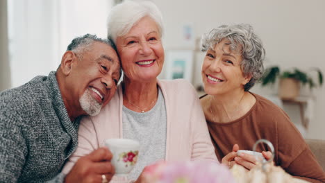 Face,-smile-and-senior-friends-at-a-tea-party