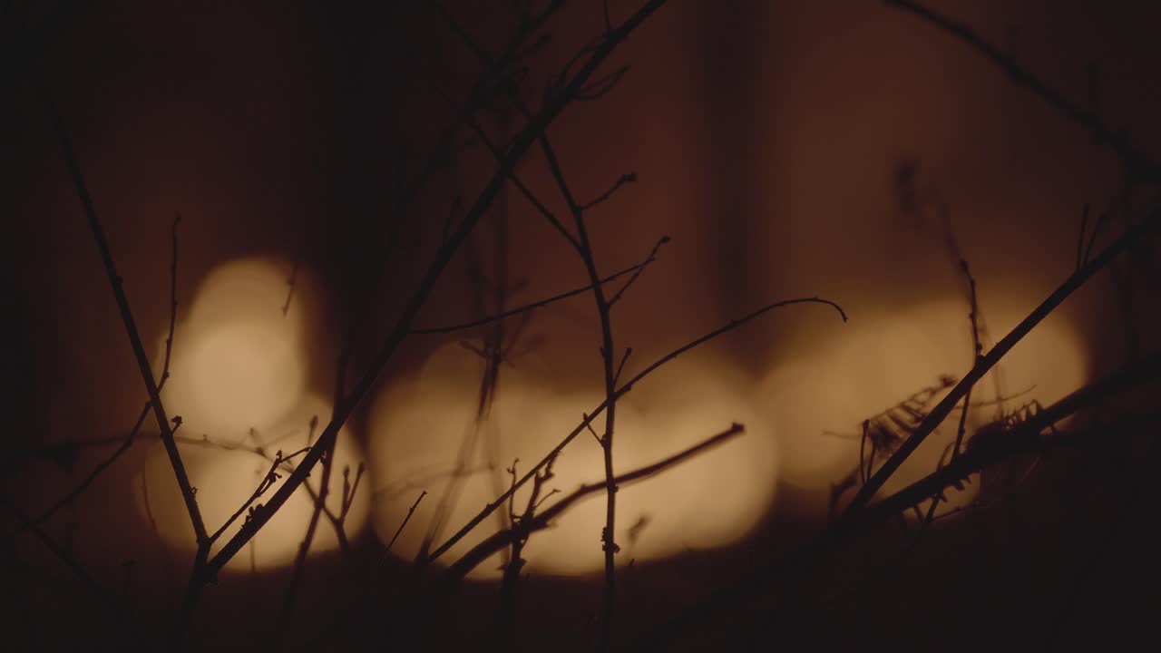 fuego poético desenfocado en el fondo