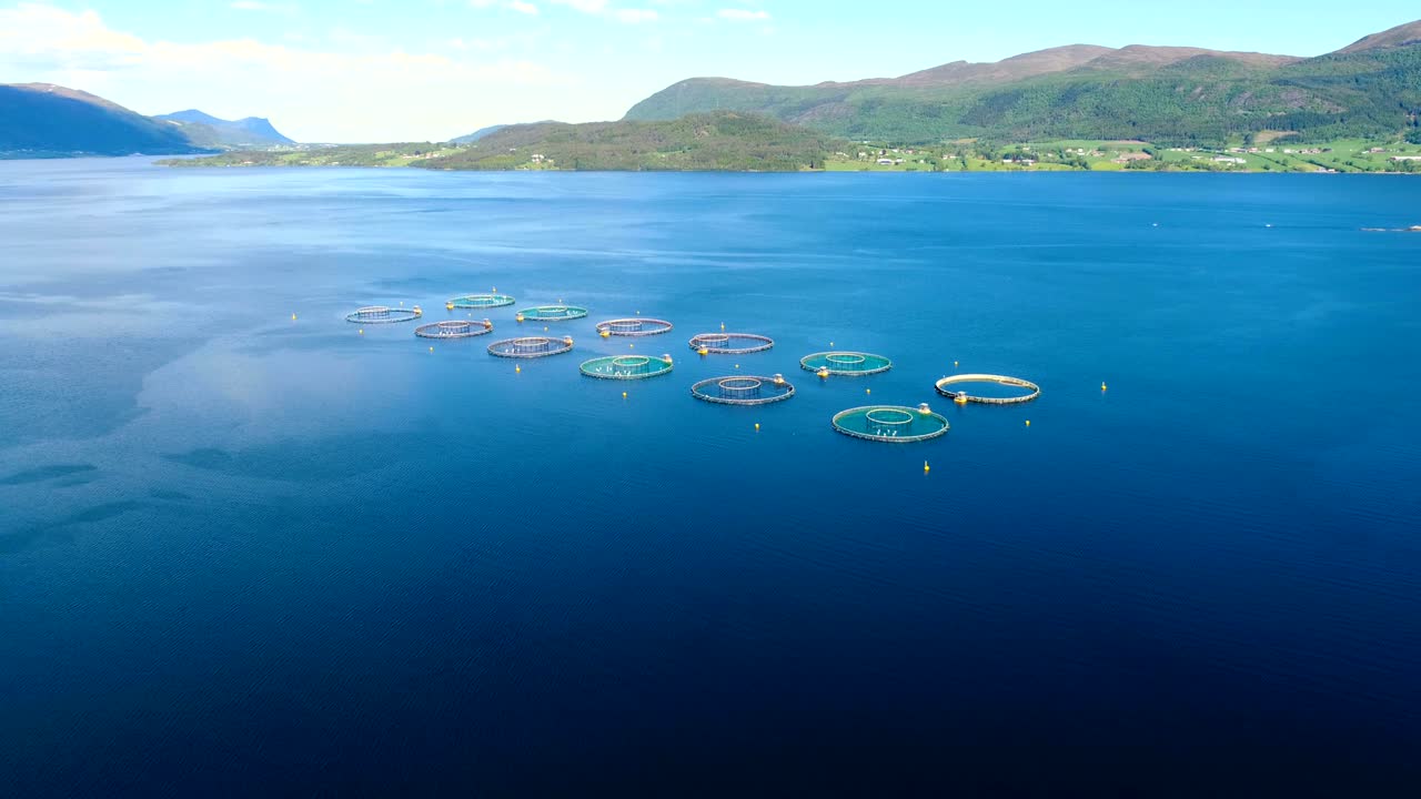 노르웨이에서 연어  ⁇ 시를 하는 공중 촬영